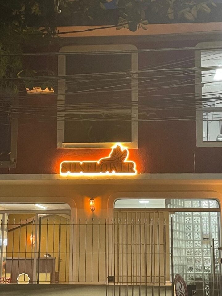 📣 REPASSE — FRANQUIA SUNFLOWER BY WELLENDORF – DELIVERY – SANTOS/SP