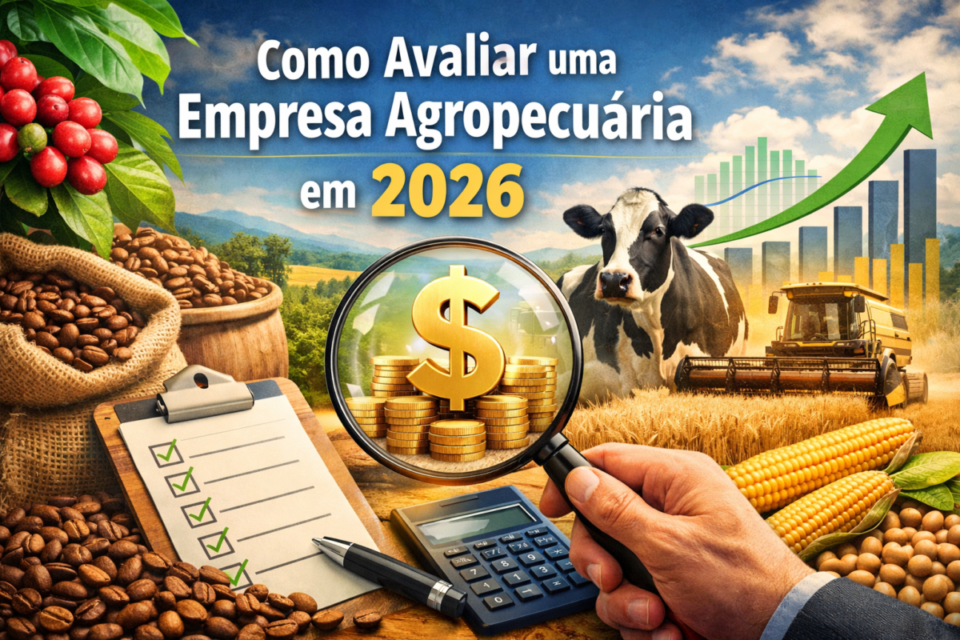 Como avaliar uma empresa agropecuária (café, leite, grãos) em 2026