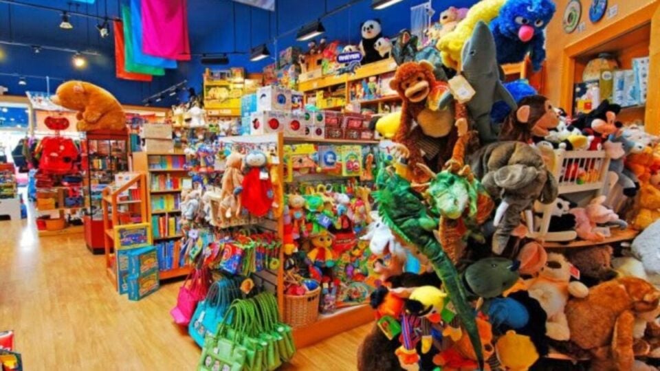 Loja de Brinquedos Educativos à Venda