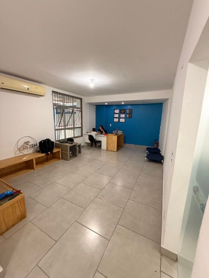 Creche e hospedagem para cães