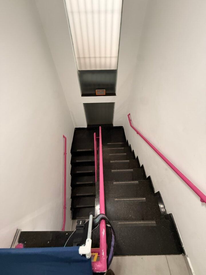 Creche e hospedagem para cães