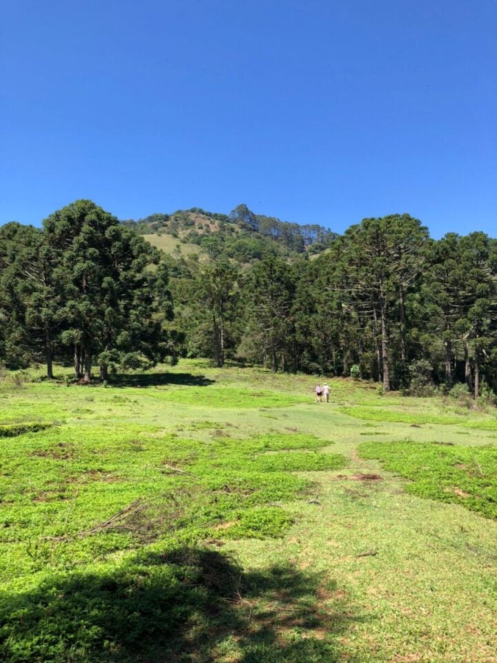 Terrenos Exclusivos no Sul de Minas Gerais
