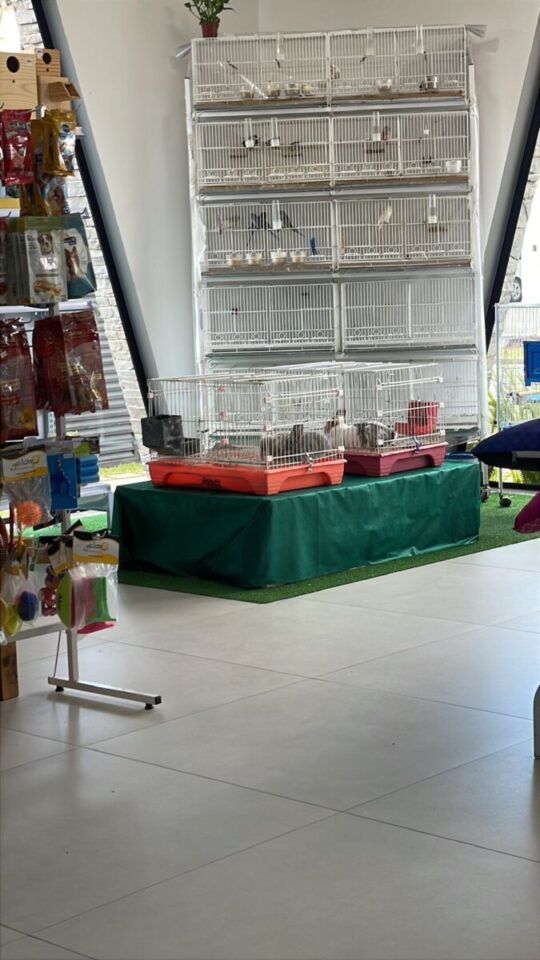 Loja Agropet em Nova Petrópolis/RS com marca reconhecida