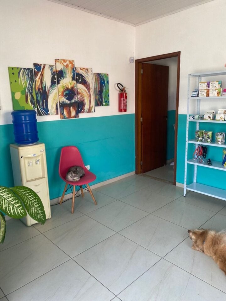Vende-se clínica veterinária em cotia