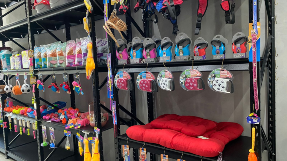 Empresa do Segmento Pet à Venda