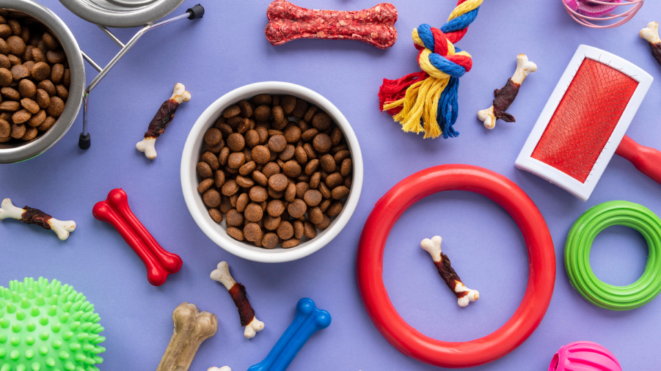 Empresa do Segmento Pet à Venda