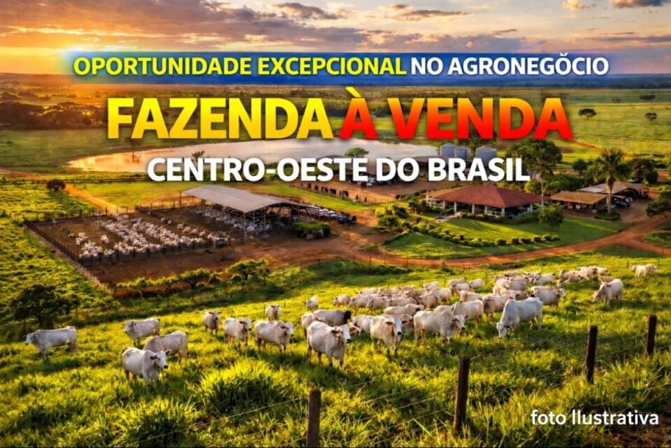 INVESTIDORES DO AGRONEGÓCIO FAZENDA A VENDA