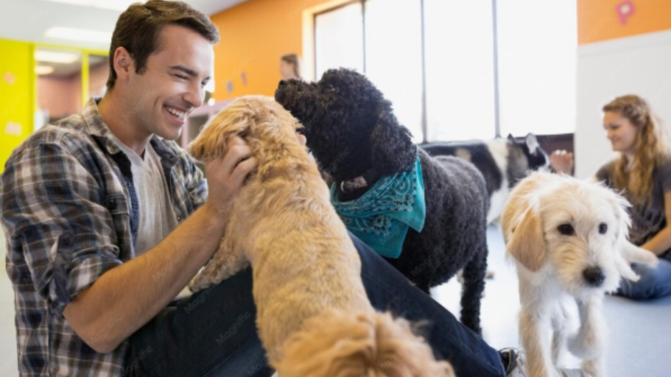 Empresa no Segmento Pet À Venda