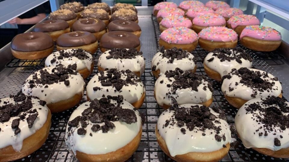 Negócio Único no Brasil – Fábrica de Donuts Estilo Krispy Kreme