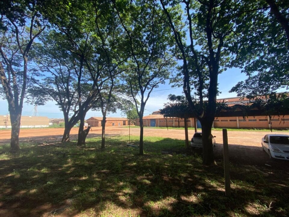 GALPAO LOGISTICA ARARAQUARA – SP EXCELENTE LOCALIZAÇAO VENDA / LOCAÇÃO