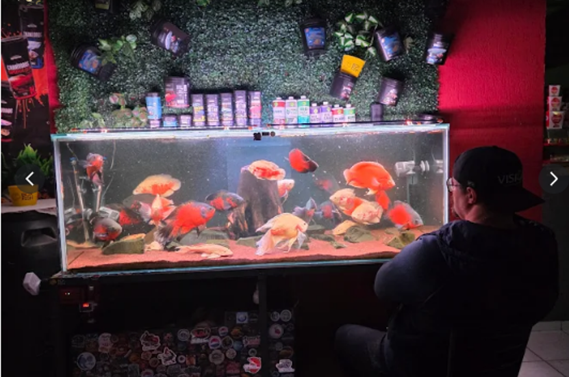 REPASSE DE FRANQUIA – LIGLIG FREGUESIA DO Ó – SP- delivery comida chinesa