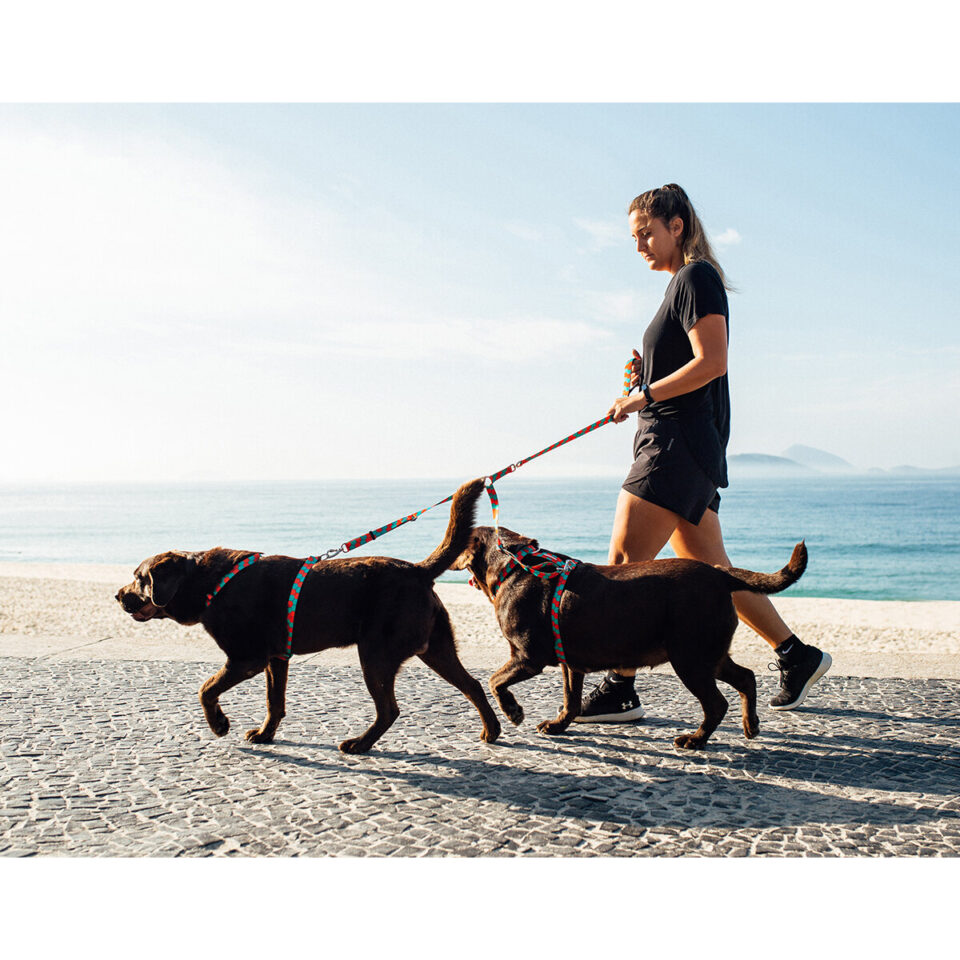 Empresa Acessórios PET High Premium / Fábrica  Marca e Produtos