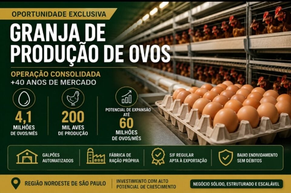 OPORTUNIDADE EXCLUSIVA GRANJA DE PRODUÇÃO DE OVOS EMPRESA TRADICIONAL