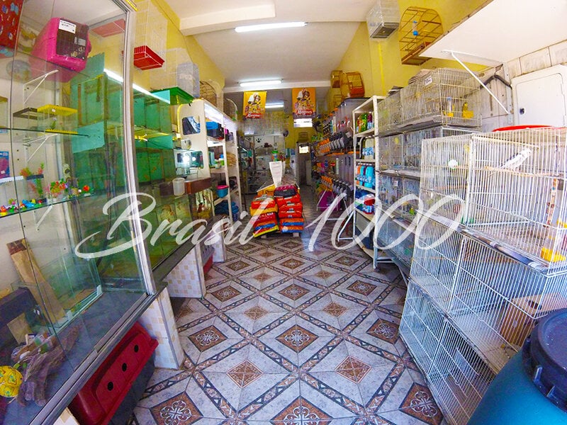 Pet Shop no Sacomã, SP