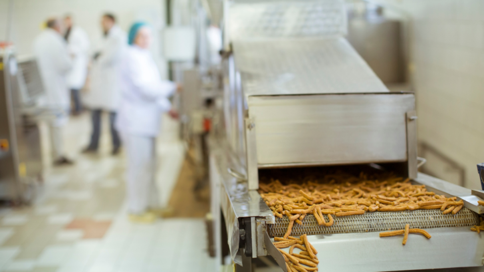 Indústria de Snacks com Marca Consolidada à Venda