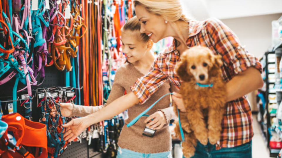 Pet Shop com Estrutura Completa à Venda