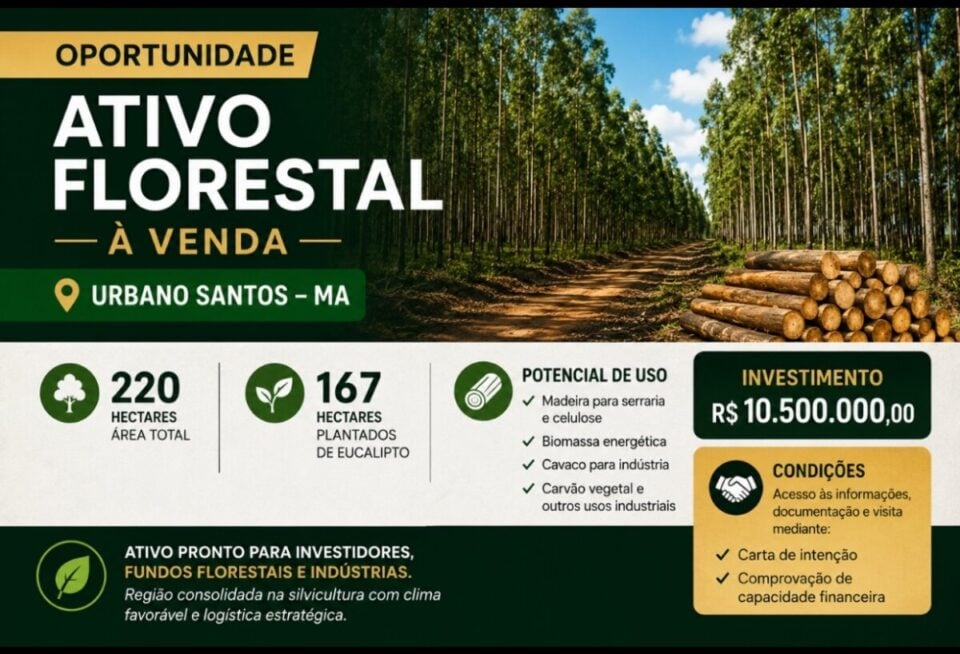ATIVO FLORESTAL À VENDA NA REGIÃO NORTE DO BRASIL
