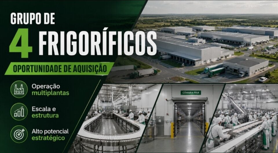 ATIVO ÚNICO GRUPO DE 4 FRIGORÍFICOS BOVINOS À VENDA