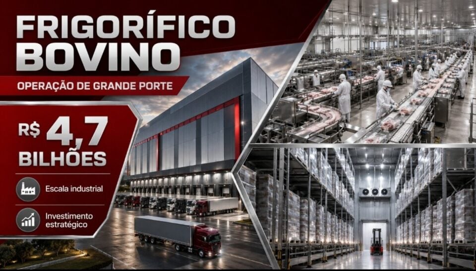 ATIVO DE GRANDE PORTE FRIGORÍFICO BOVINO DE GRANDE PORTE À VENDA