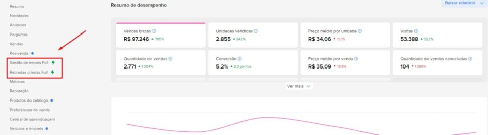 Ecommerce 100 online com Full