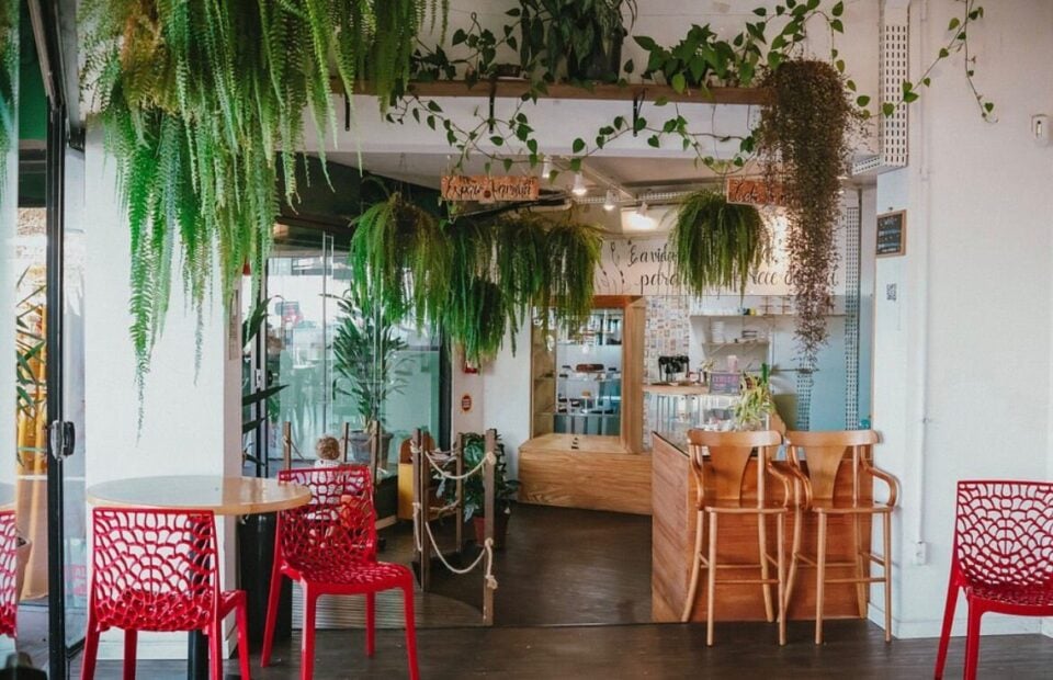 Cafeteria à venda em Florianópolis- SC