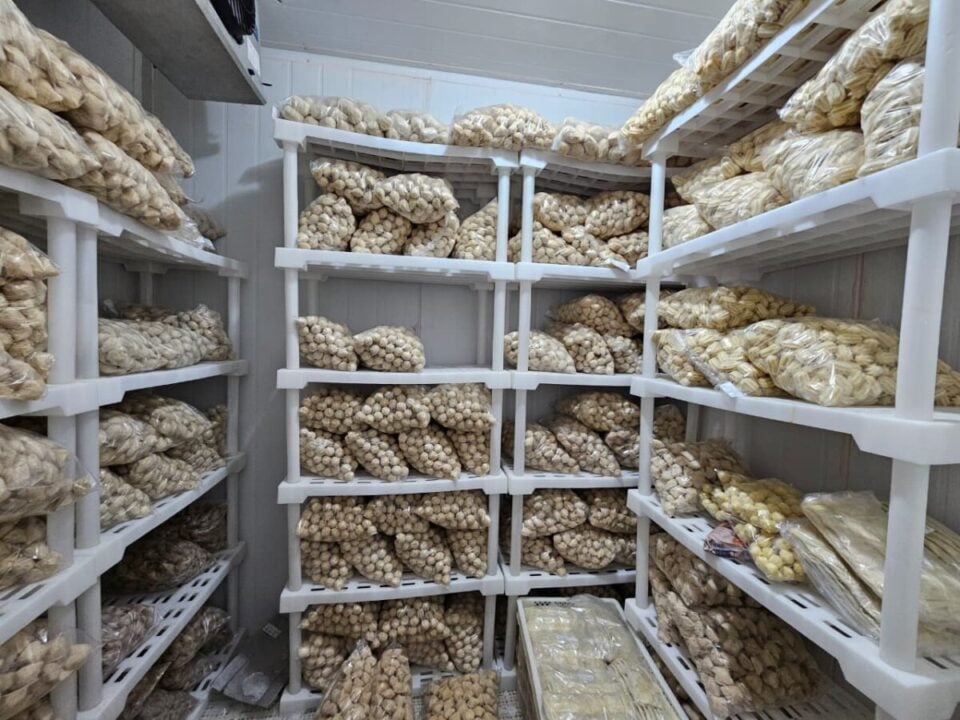Fábrica de Salgados na Zona Norte
