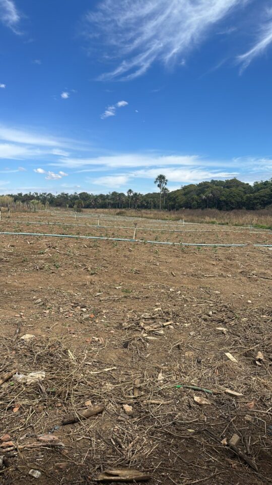 Operação no Agro de Quiabo