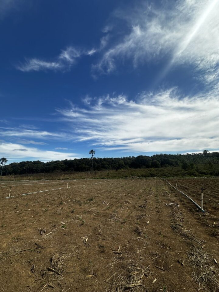 Operação no Agro de Quiabo