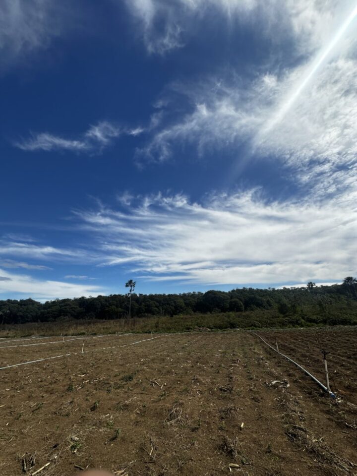 Operação no Agro de Quiabo