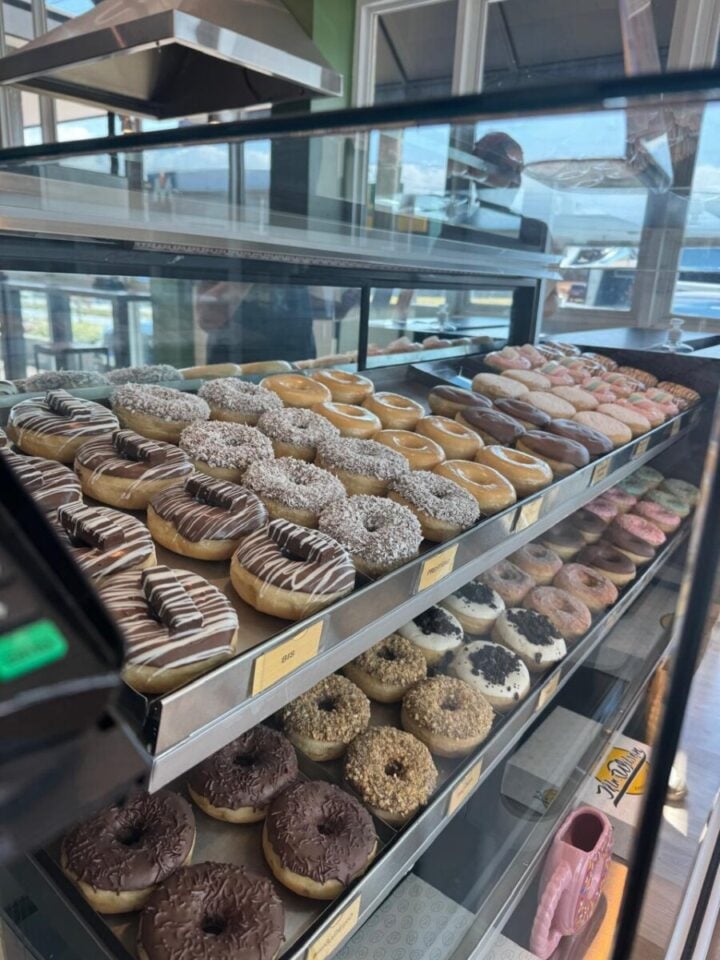 Estilo Krispy Kreme – Negócio Único Fábrica de Donut