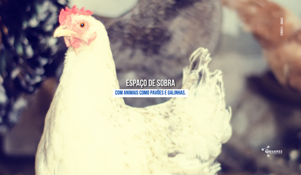 Cód286 – Chácara à Venda em Sergipe