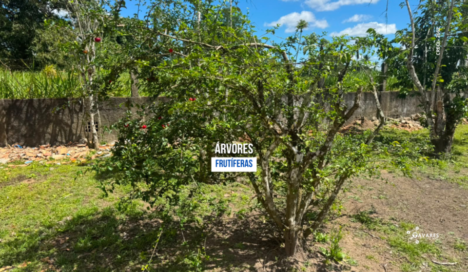 Cód286 – Chácara à Venda em Sergipe